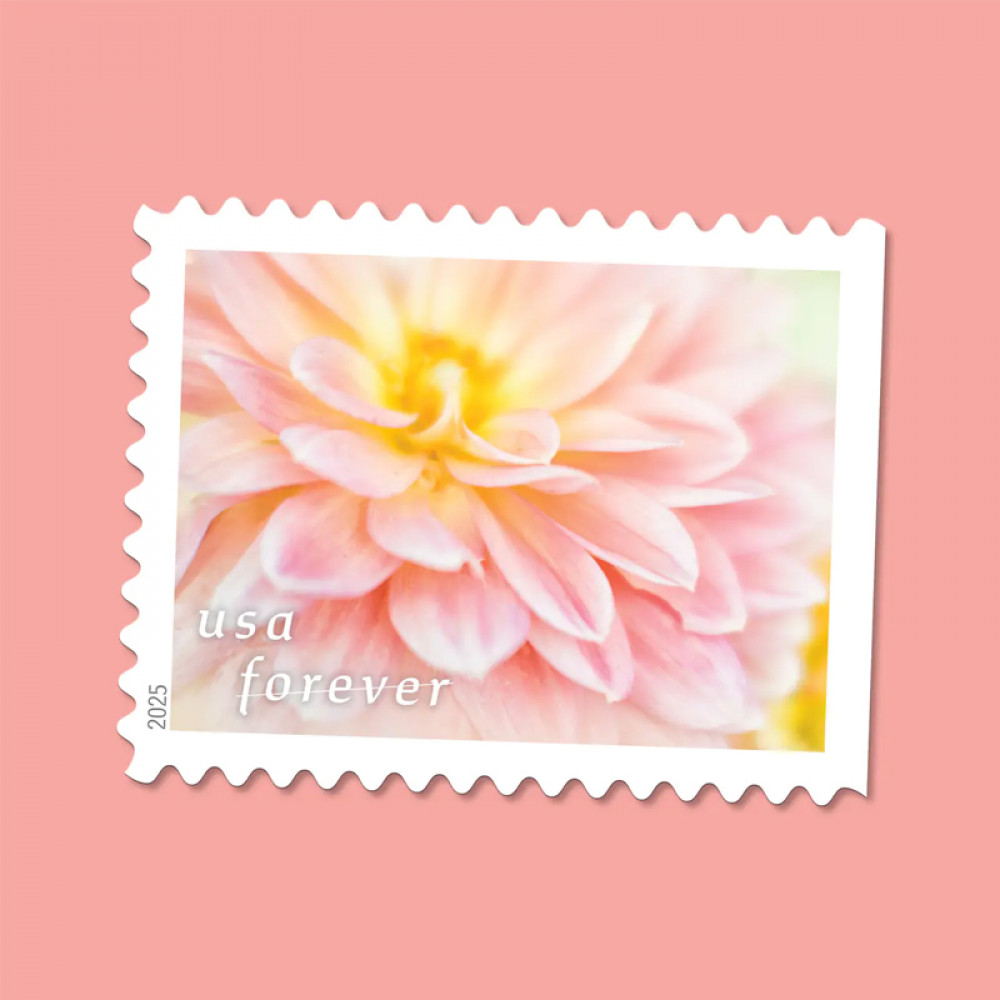 2025 Dahlias Stamps Book of 20